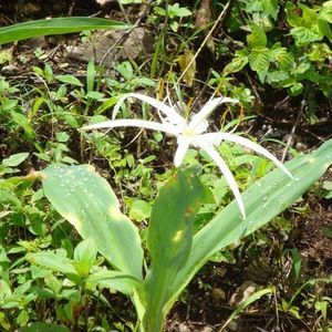 Meet your Posher, Ma f